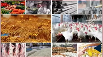 أسعار متقلبة.. البيض والذهب يرتفعان بينما الدواجن تشهد تراجعًا في 8-10-2025